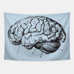 Brain Anatomy Tapestry