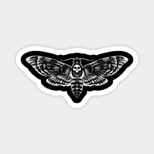 Dark Academia Death's-Head Hawkmoth Magnet