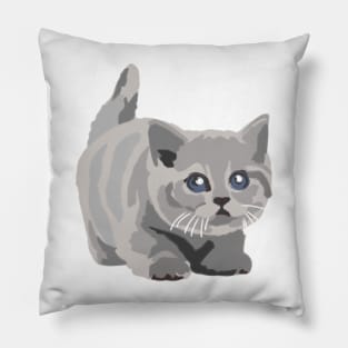 Cute British Shorthair Kitten Pillow