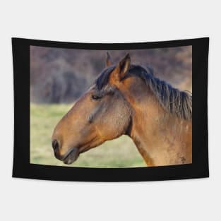 Horse Tapestry