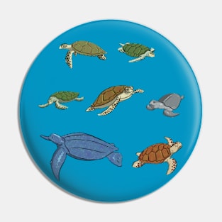 Turtles Pin