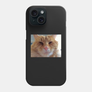 OllieBear Ginger Kitty Cat Phone Case