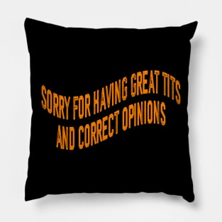 Sorry For Having Great Tita And Correct Opinions On Pillow