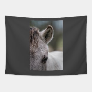 Konik horse portrait Tapestry