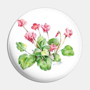 Color pencil of Cyclamen Flower Pin