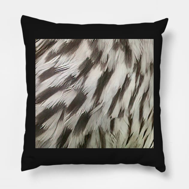 Feathers of a female Red Winged Blackbird Pillow by BirdsnStuff