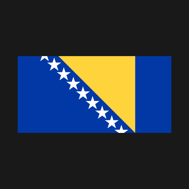 Bosnia and Herzegovina by Wickedcartoons