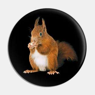 Squirrel- Woodland Themed Kids Room, Funny Gifts For Forester, Cute Anima Pin