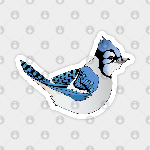 Cute Graphic Blue Jay Bird