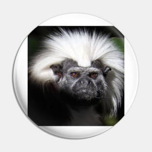 Cotton-top Tamarin Pin