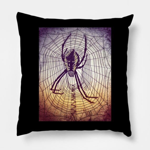 Spider Web in grunge Pillow by Matt Starr Fine Art