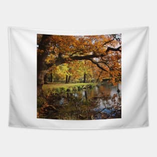 Autumnal lake scene Tapestry