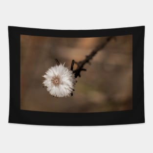 Dainty powder puff Tapestry