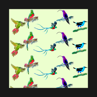 Quetzal Bird Pattern T-Shirt