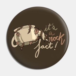 rock fact Pin