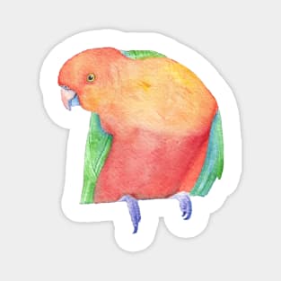 Watercolor Australian King Parrot painting Magnet