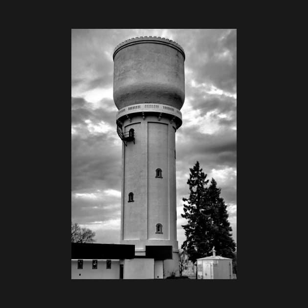 Brainerd Watchtower by bobmeyers