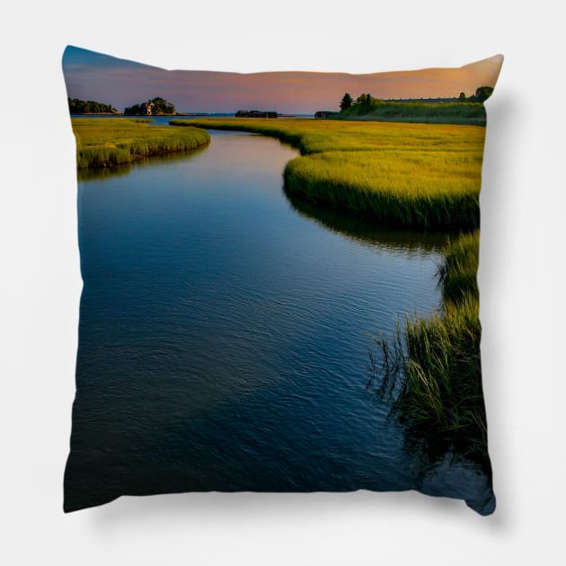 Marsh Pillow by Rob Johnson Photography