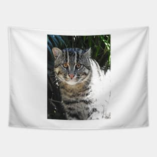 Fishing Cat Tapestry