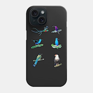 Quetzal Hummingbird Honeycreeper Motmot Caracara Phone Case