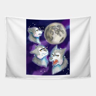 3 Frank Moon Tapestry