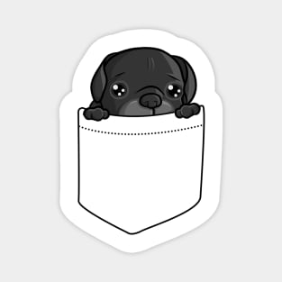 Cute Black Pug In Pocket Magnet