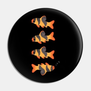 Clown loach Pin