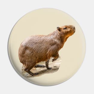 Out for a run Capybara Pin