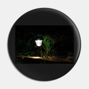 Garden Solar Light in the Dark Pin