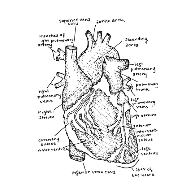 Heart by JudePeters