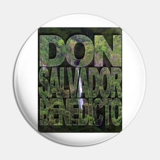 DON SALVADOR BENEDICTO Pin