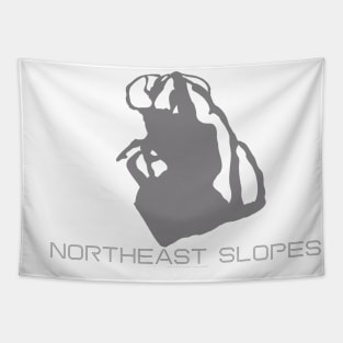 Northeast Slopes Resort 3D Tapestry