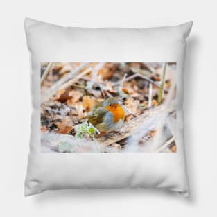 Puffed-up Robin Redbreast in Frost Pillow