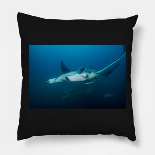 Mant Ray With Remoras Pillow
