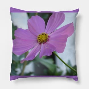 Gartenblume Pillow
