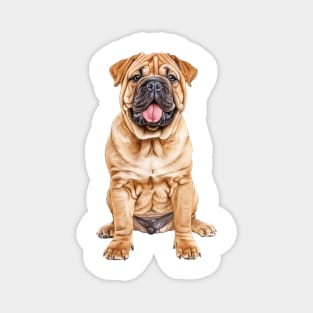 Chinese Shar-Pei Magnet