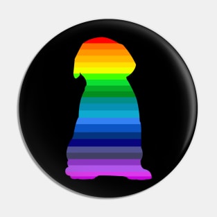 Rainbow Puppy Lab Pin