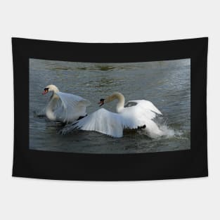 Two mute swans fighting by the river Tapestry