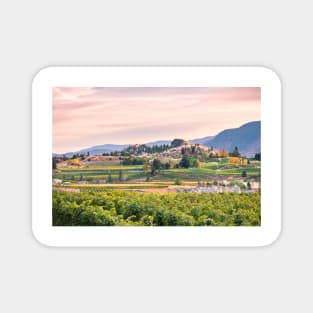 Autumn Vineyards Sunset Okanagan Valley Magnet