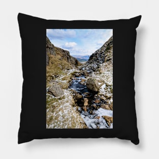 Frosty Widdy Gill Pillow