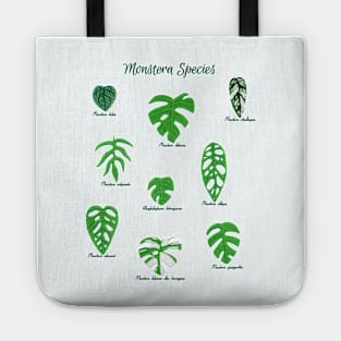 Monstera Species with Labels Tote