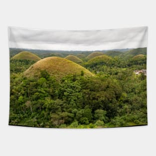 The Chocolate Hills, Carmen, Bohol, Philippines Tapestry