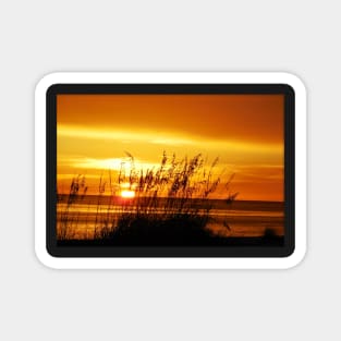 Shades of gold beach sunset Magnet