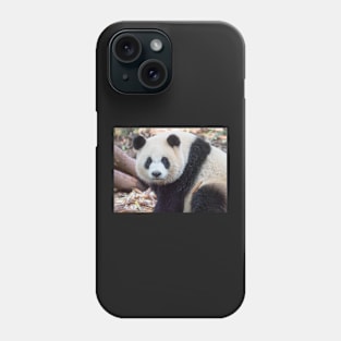 Great Panda Stare Phone Case