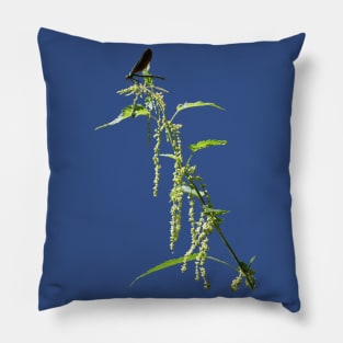 Black Dragonfly On Nettle Pillow