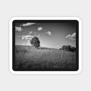 Lonely Tree landscape black and white photography Magnet