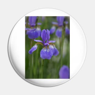 Beauty of an Iris Pin