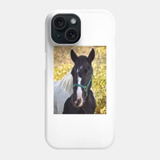 Drum horse Phone Case