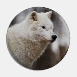 Arctic Wolf Pin