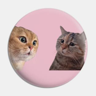 Cat couple meme Pin